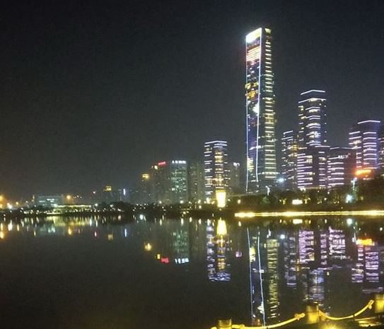 深圳灣-1